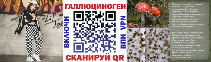 купить  цена  Белогорск  Псилоцибиновые грибы мицелий 